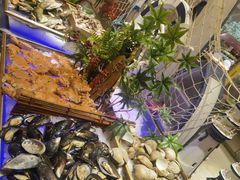 -西安西藏大厦开元名都大酒店·自助餐厅