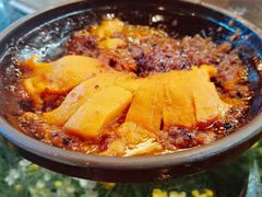 -食家鸽园