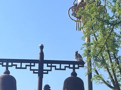 -阳澄湖半岛旅游度假区