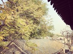 -zarah(鼓楼店)