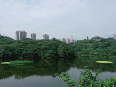 -重庆彩云湖湿地公园