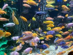 -太平洋海底世界