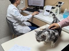 -谐和贝康宠物医院24小时·宠保定点(急重症转诊中心)