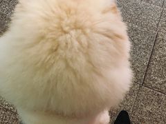 -重庆市江北嘴中央商务区中央公园