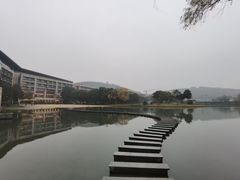 -上海佘山世茂艾美酒店