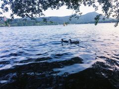 -西湖天地