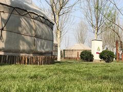 -九十九顶毡房(阜石路店)