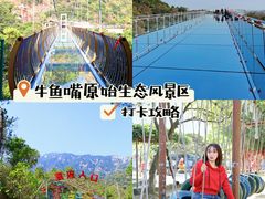 -牛鱼嘴原始生态风景区