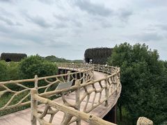 -鄱阳湖国家湿地公园