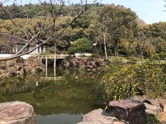 -灵岩山风景区
