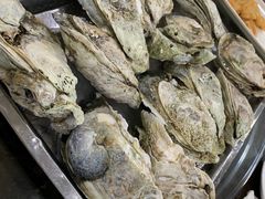-蚝专家(北滘店)