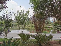 -枫香湖儿童公园