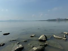 -深圳湾公园(南山区)