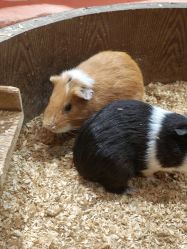 -Zoolung Zoolung动物主题公园(海信广场店)