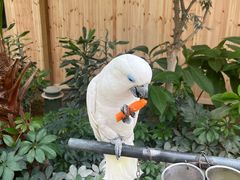 -南宫五洲植物乐园