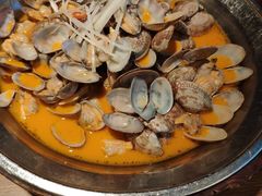 铜盘花蛤-新白鹿餐厅(城西银泰城店)