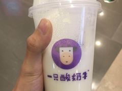 -一只酸奶牛(八一路店)