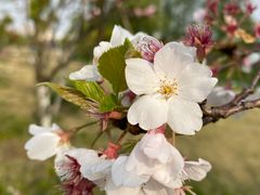 -杭州城北体育公园