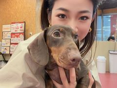 -和它·交个朋友·狗咖猫咖(爱琴海店)