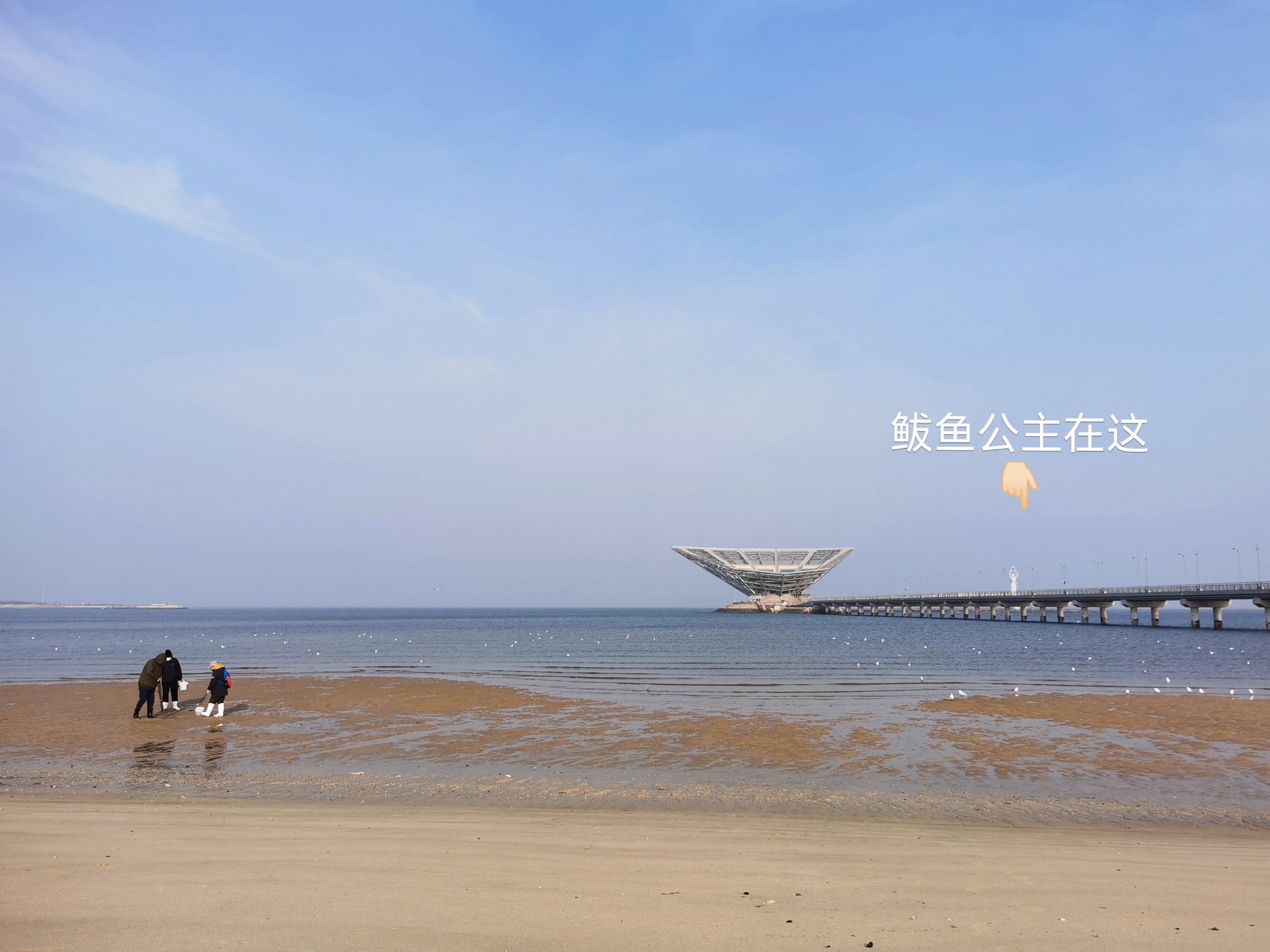 终于看到鲅鱼公主了🤭