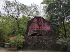 -海口火山口国家地质公园