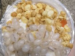 -一只酸奶牛(春熙路店)