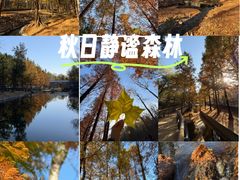 -白水寺森林公园