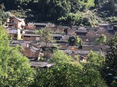 -杨家堂村