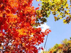 -丹东天桥沟景区