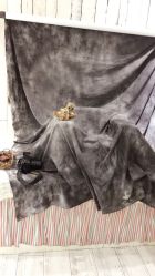 -星豆豆儿童摄影(南郊太白南路店)