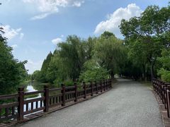 -南湖湿地公园