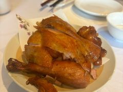 -凯鸽酒楼(操场城店)