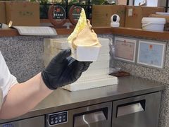 -野人先生Gelato(上海长宁龙之梦店)