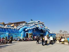 -石家庄极地海洋世界