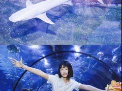 -南昌海洋公园