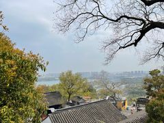 -苏州上方山国家森林公园