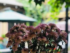 -后海16号·北京私房菜