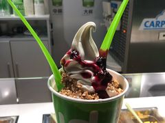 -Salud撒露欧洲冻酸奶(蓝色港湾店)