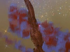 -一代烤翅王(大汉口店)