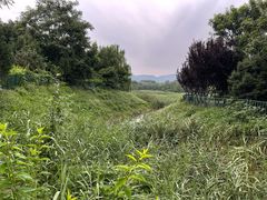 -北坞公园