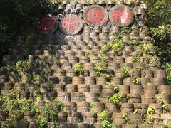 -千年银杏谷文化旅游区