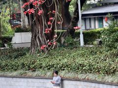 -荔湾湖公园