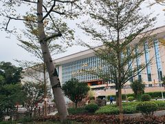 -广西壮族自治区博物馆