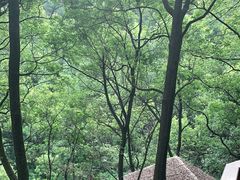 -巴倒烫陆派重庆火锅(南山店)