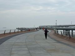 -演武大桥观景平台