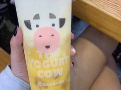 -一只酸奶牛(八一路店)