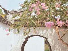 -上海醉白池公园