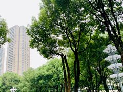 -重庆市江北嘴中央商务区中央公园