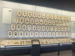 -浙江自然博物院(杭州馆)