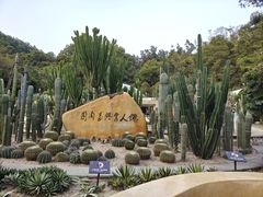 -深圳仙湖植物园